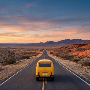 The Marfa Mavericks