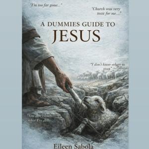 Dummies Guide To Jesus 🤍