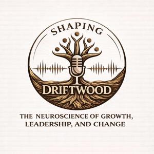 Shaping Driftwood: Neuroscience-Based Leadership, Growth & Change