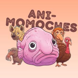 Animomoches