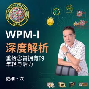 WhyPayMore International 深度解析 (The WhyPayMore International Deep Dive)