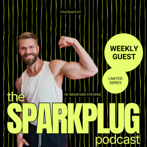 the SPARKPLUG by VitalSpark