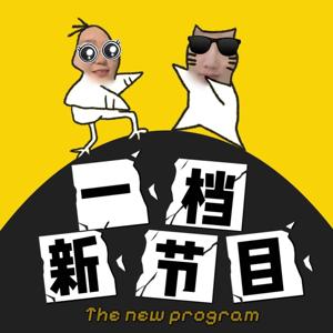 一档新节目