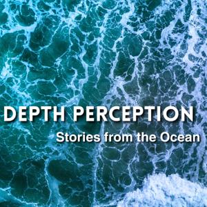 Depth Perception: Stories from the Ocean