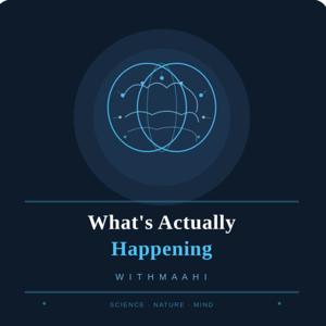 What's Actually Happening