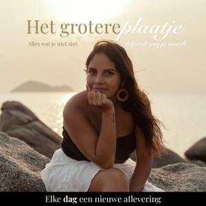 Het Grotere Plaatje