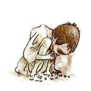 Análisis solidaridad