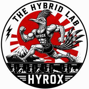 THE HYBRID LAB