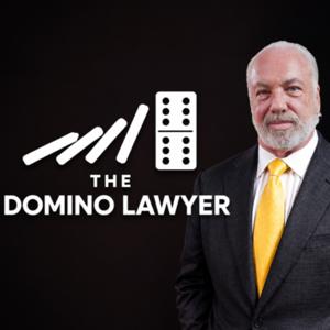 The Domino Lawyer