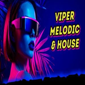 Viper Melodic & House