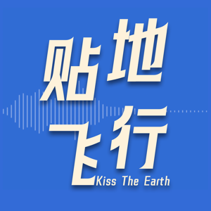 贴地飞行FM