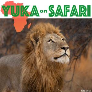 YUKA on SAFARI