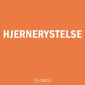 HJERNERYSTELSE