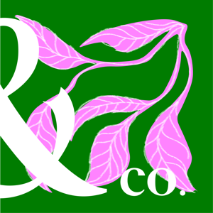 La Enredadera & Co