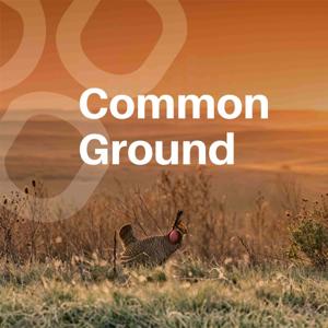 Common Ground
