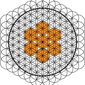 UNIVERSO VIDA | Salud y estilo de vida integral