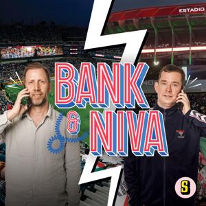 Bank & Niva