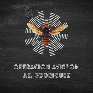 OPERACIÓN AVISPON