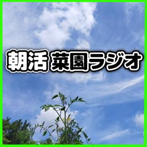 サラリーマンの朝活菜園ラジオ