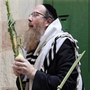שיעורי הגאון רב נתן רוטמן