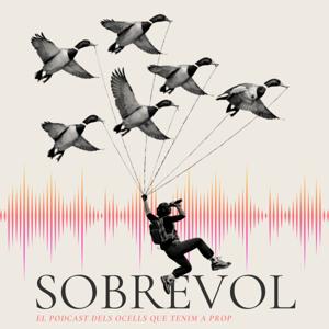 Sobrevol