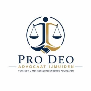 De impact van digitalisering op pro deo