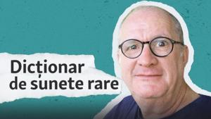 Dicţionar de sunete rare