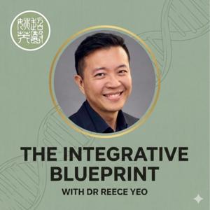 The Integrative Blueprint