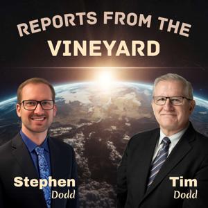 Reports from the Vineyard