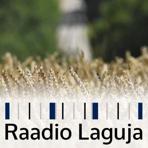 Raadio Laguja