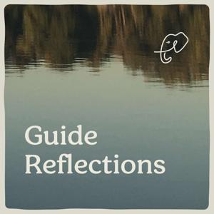 Guide Reflections