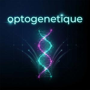 optogenetique