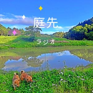 庭先ラジオ｜風景採集