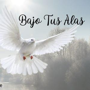 Podcast de Yanina