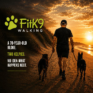 FitK9 Walking