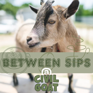 Between Sips