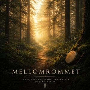 Mellomrommet