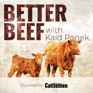 Better Beef