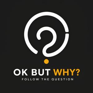 Chasing the Why
