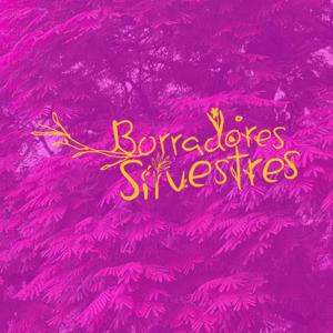 Borradores Silvestres
