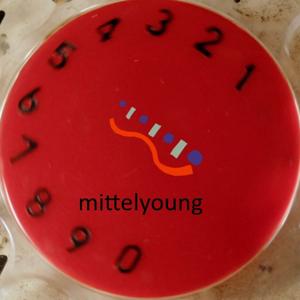 Mittel YOUNG