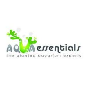 Aqua Essentials