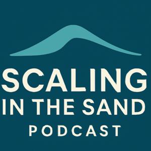 Scaling in the Sand