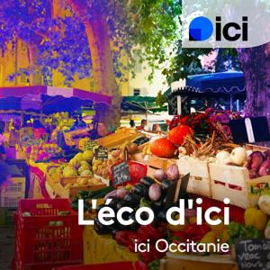 L'éco d'ici, ICI Occitanie