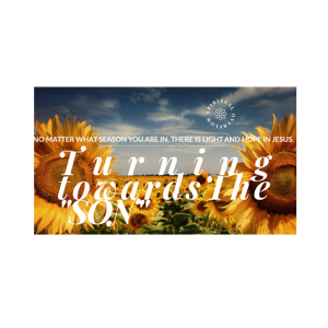 Transformed Living Podcast🐛🦋✨ Daily, practical applications of biblical faith.