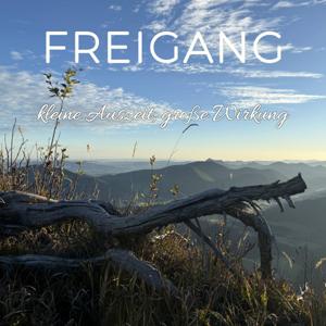 Freigang