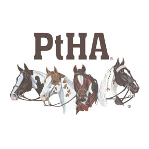 Pinto Horse Podcast