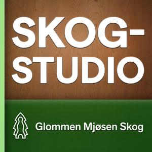 Skogstudio