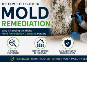 Understanding Mold Remediation
