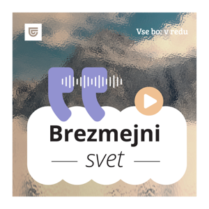 Brezmejni svet